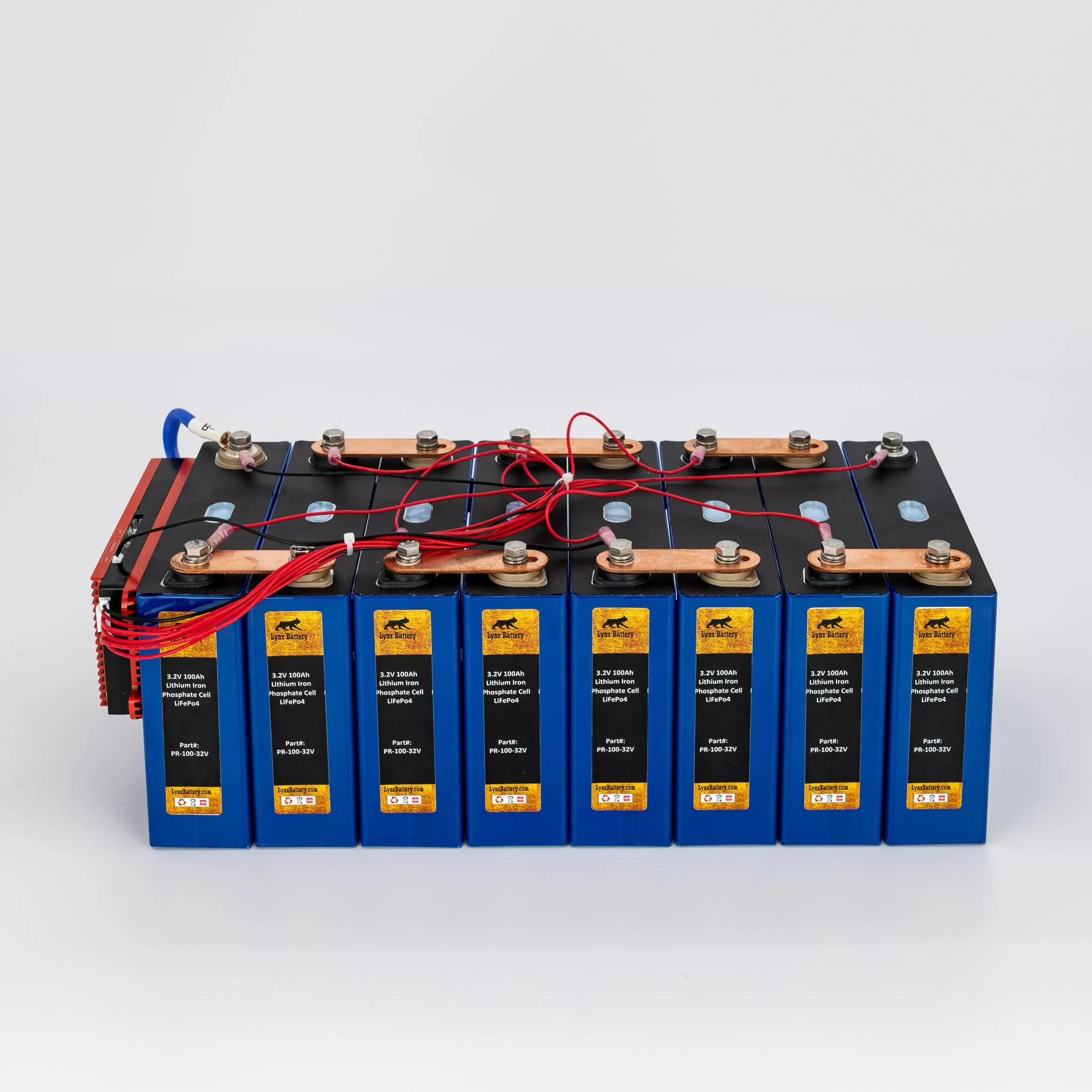 24V 100Ah Lithium Iron Phosphate (LiFePO4) Prismatic Battery with 100A BMS