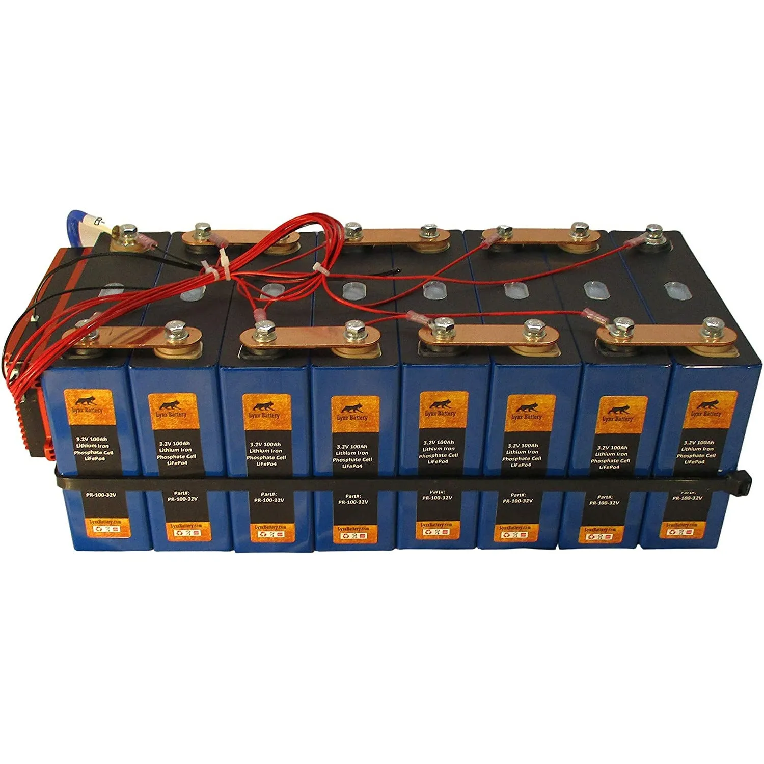 24V 100Ah Lithium Iron Phosphate (LiFePO4) Prismatic Battery with 100A BMS