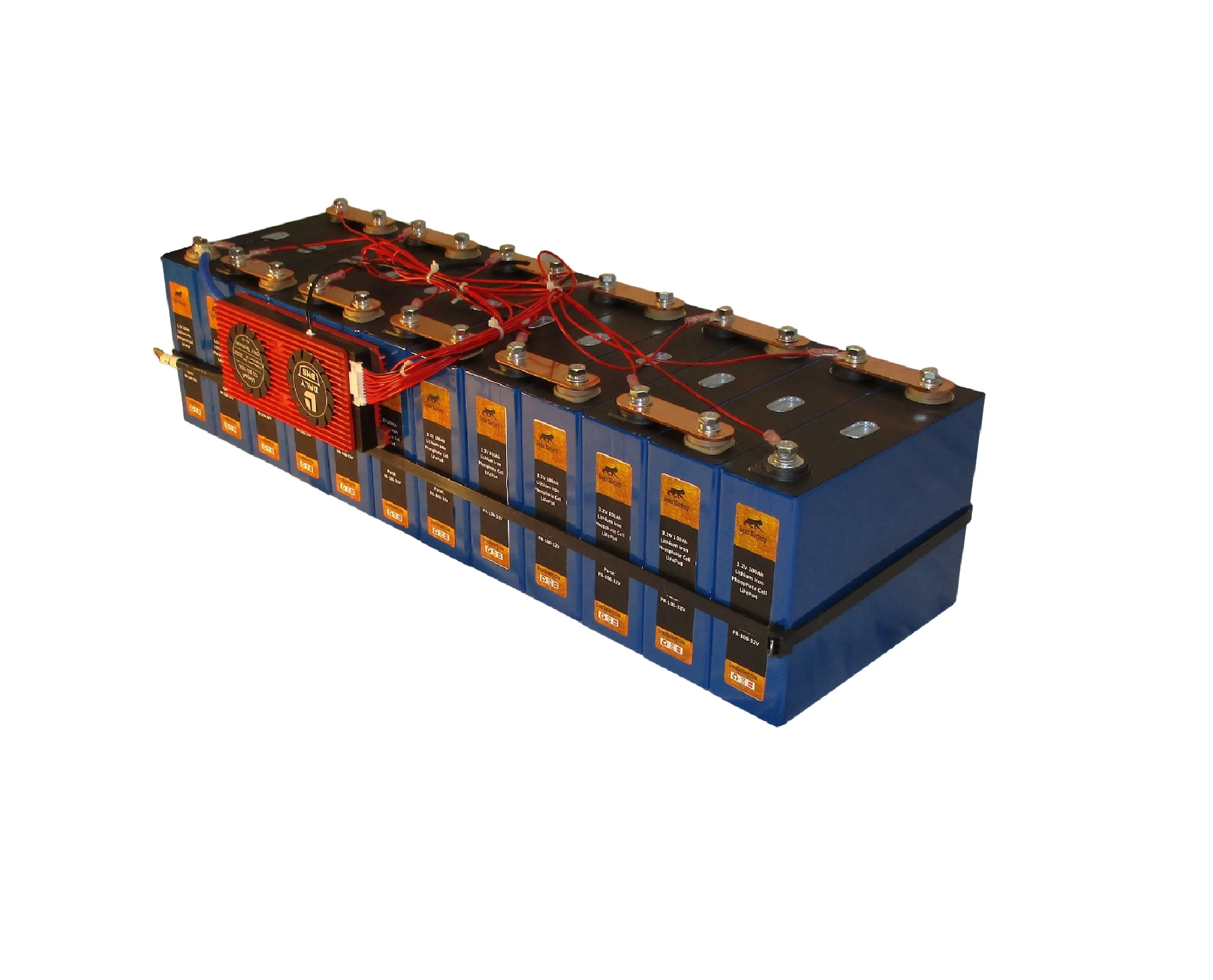 36V 100Ah LiFePO4 Prismatic Deep Cell Battery with 100A BMS