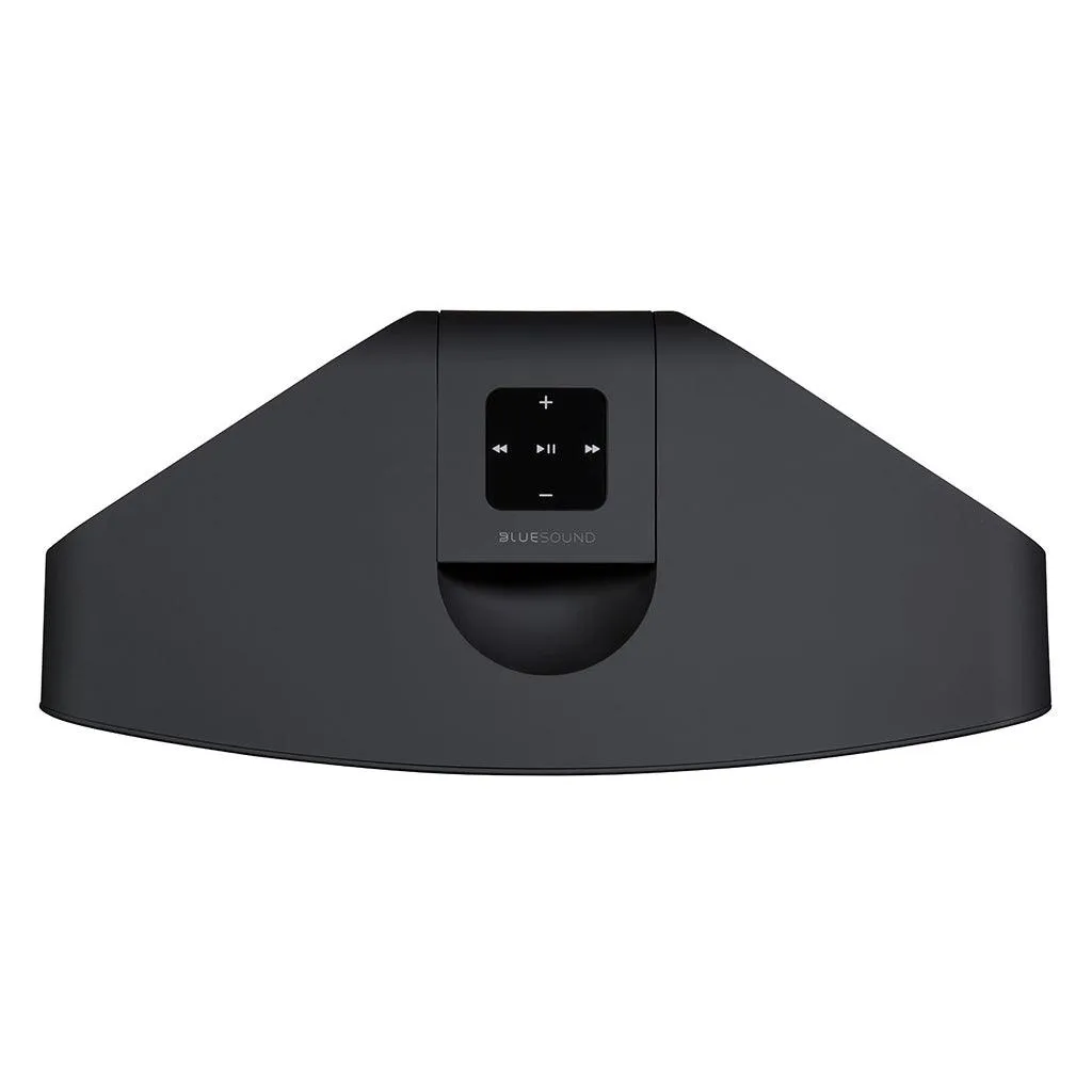 Bluesound Pulse 2i Wireless Multi-Room Streaming Speaker