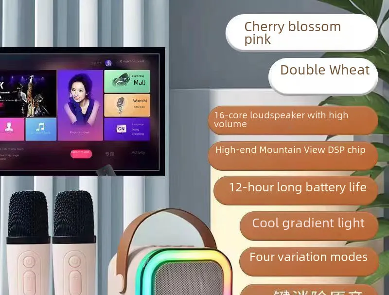 Bluetooth Karaoke Speaker