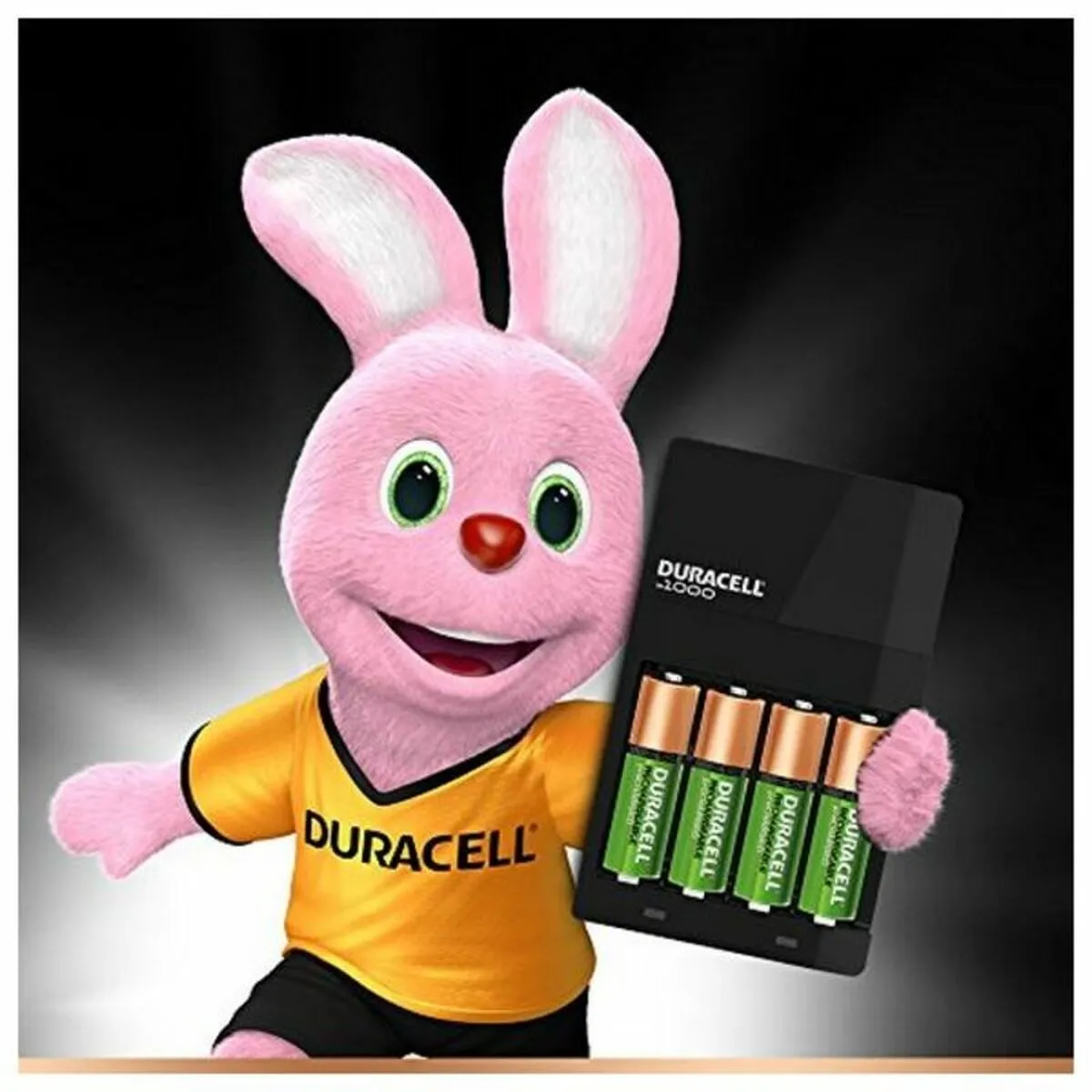 Charger   Rechargeable Batteries DURACELL CEF14 2 x AA   2 x AAA HR06/HR03 1300 mAh (1 Unit)