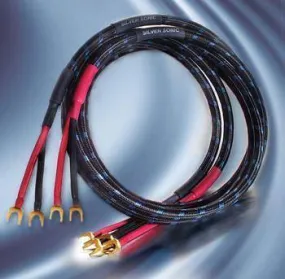 DH Labs Q-10 Signature Internal Bi-Wire