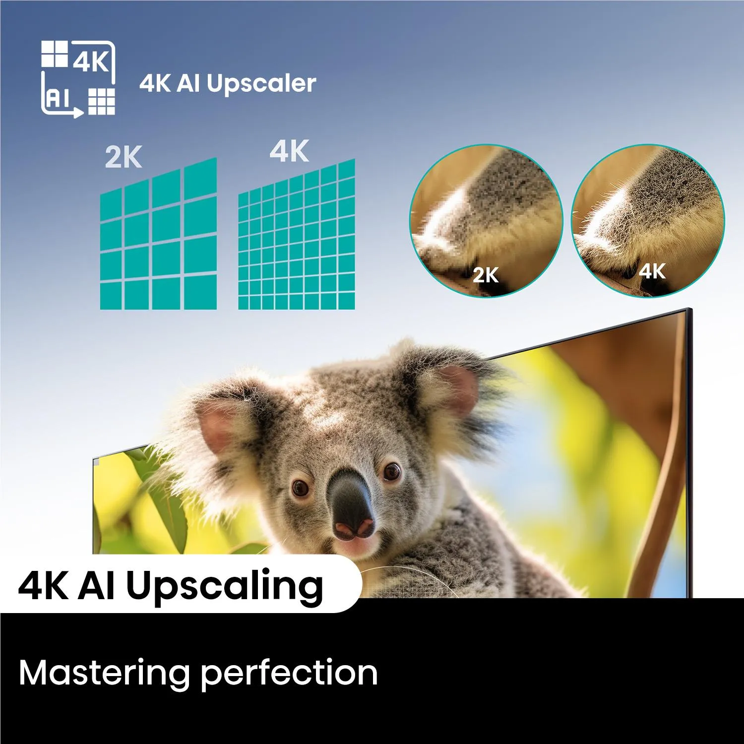 Hisense 75" Q6NAU 4K QLED Smart TV [2024]