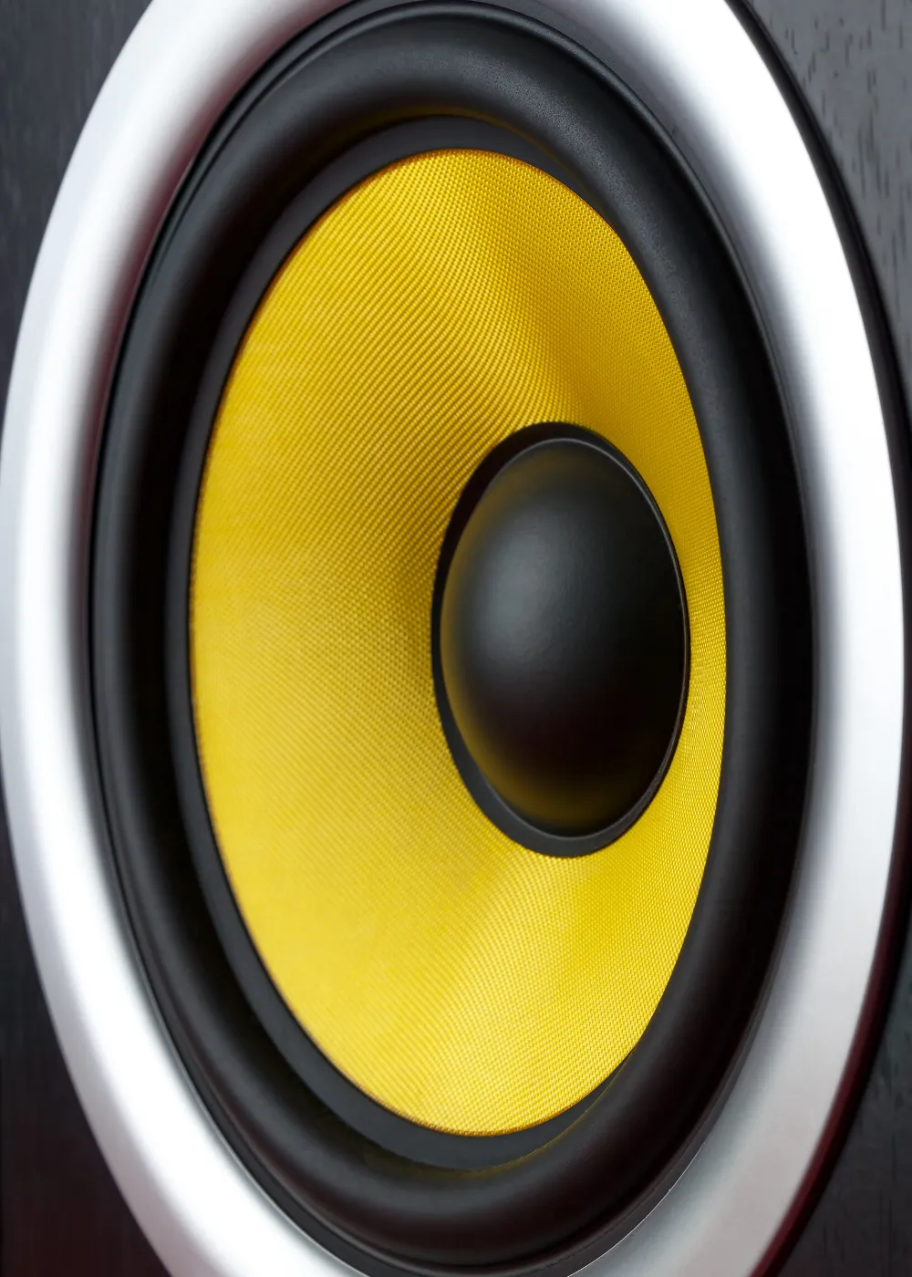 Level Audio Speakers