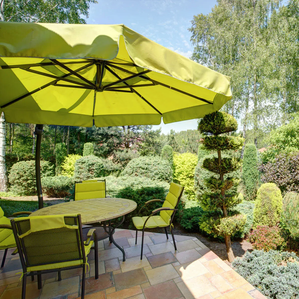 MartinLogan Foundation 8.1 Outdoor Speaker System