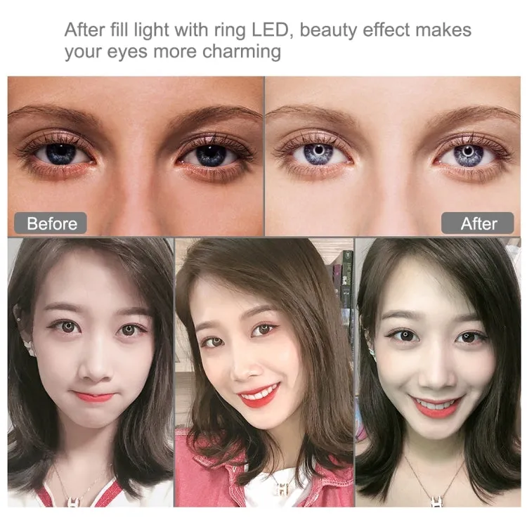 PULUZ 10.2 inch 26cm RGBW Light   1.65m Tripod Mount   Dual Phone Bracket Curved Surface USB RGBW Dimmable LED Ring Selfie Beauty Vlogging Video Light Live Broadcast Kits with Cold Shoe Tripod Ball Head & Phone Clamp & Remote Control