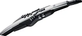 Roland Aerophone Pro AE-30 Digital Wind Instrument - Silver