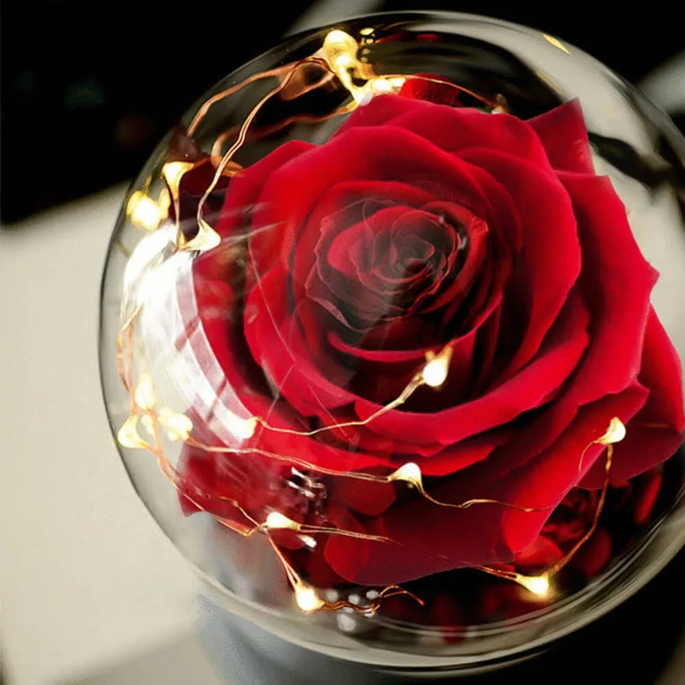 Rose Light Aromatherapy Oil Diffuser Christmas LED Rose Lamps